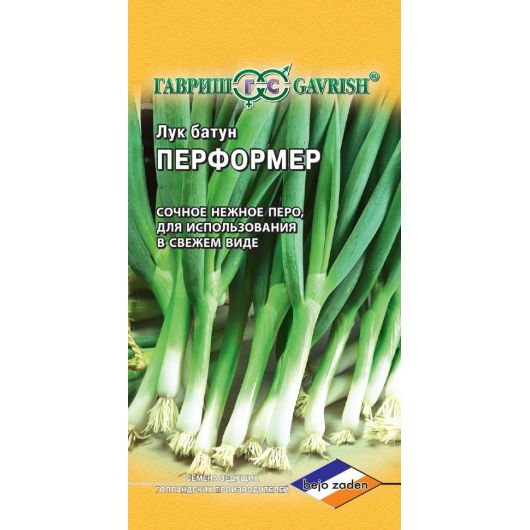 Лук батун Перформер 0,2 г на зелень (Голландия)