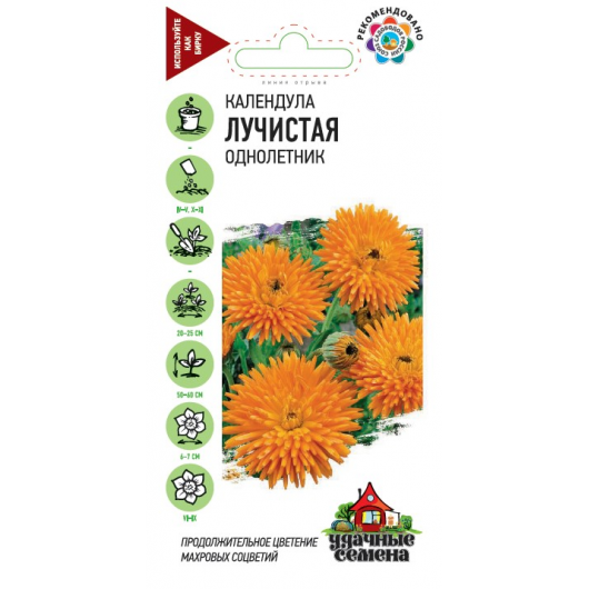 Календула Лучистая 0,3 г Удачные семена