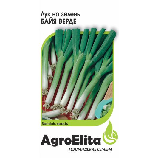 Лук батун Байя Верде 0,2 г (Семинис) Агроэлита