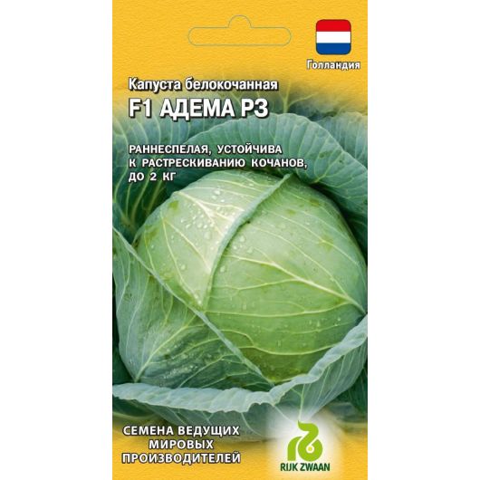 Капуста белокоч. Адема РЗ F1 10 шт. ранняя  (Голландия)