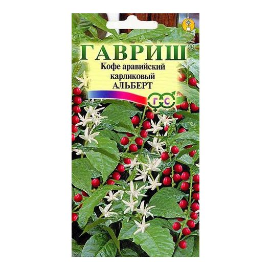Кофе аравийский карликовый Альберт 5 шт.