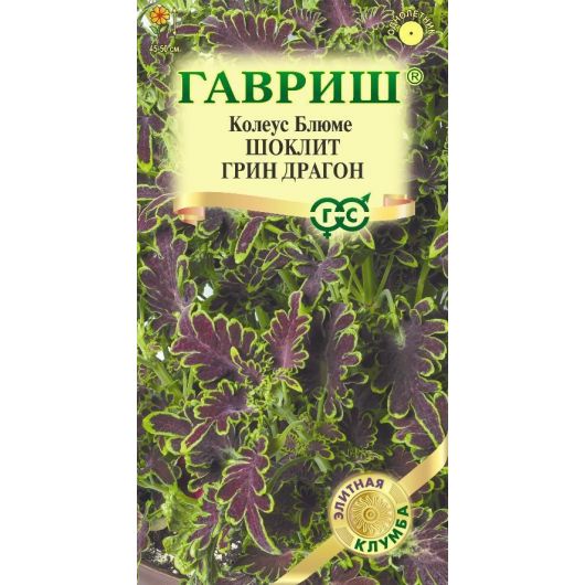 Колеус Шоклит грин Драгон 4 шт.
