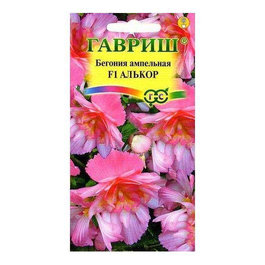 Бегония ампельная Алькор F1 клубневая,  4 шт. гранул. пробирка