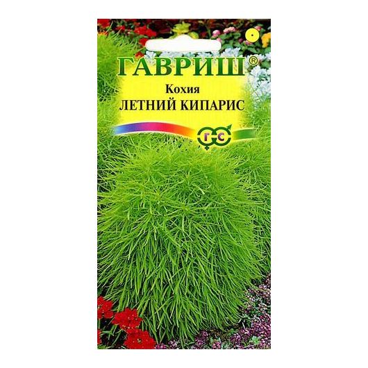 Кохия Летний кипарис (веничная) 0,3 г
