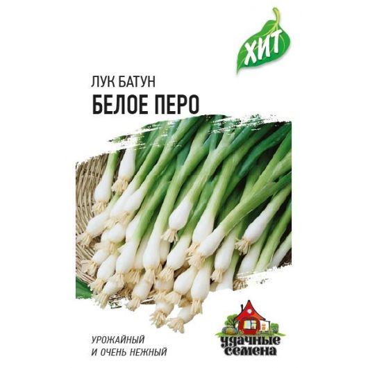 Лук на зелень Белое перо 0,5 г ХИТ х3