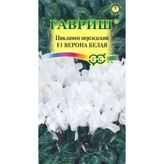 Цикламен Верона белая F1, персидский, ароматный* 3 шт.