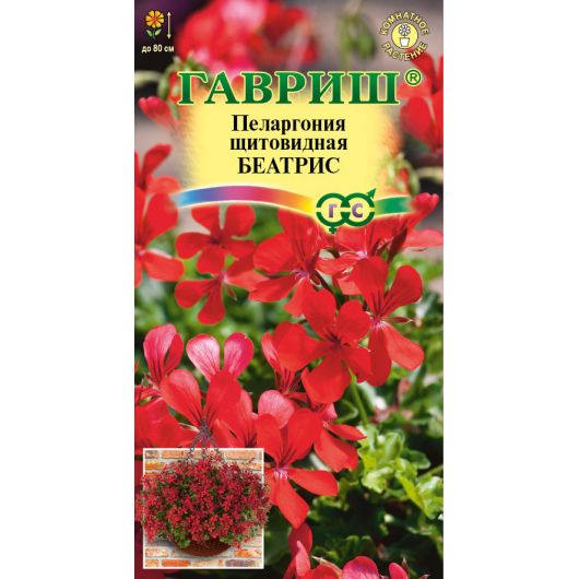 Пеларгония ампельная Беатрис 3 шт.
