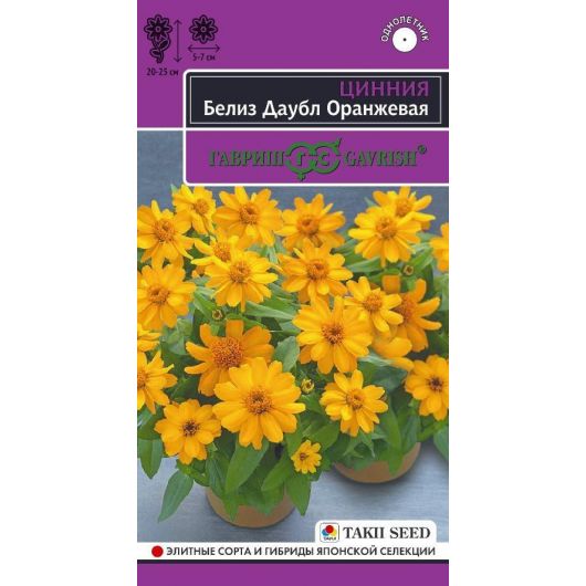 Цинния Белиз даубл оранжевая 5 шт.