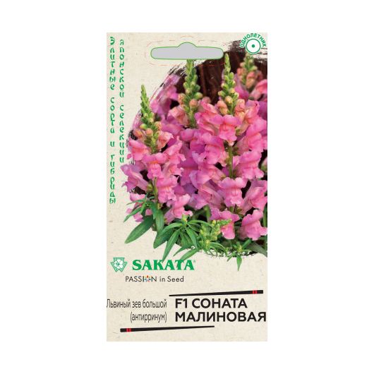 Львиный зев (Антирринум) Соната малиновая F1* 7 шт. Саката серия Элитная клумба