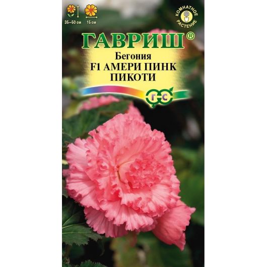 Бегония Амери пинк пикоти F1 клубневая гранул. 4 шт. пробирка