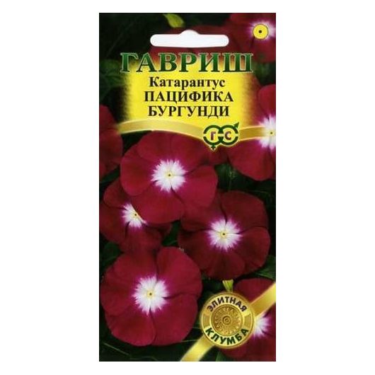 Катарантус Пацифика Бургундия* 5 шт. серия Элитная клумба