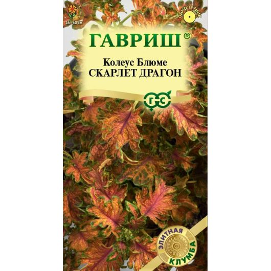 Колеус Скарлет Драгон* 4 шт. Элитная клумба