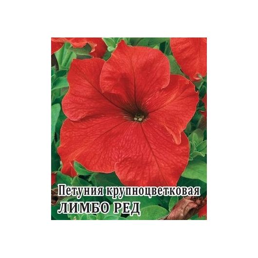 Петуния Лимбо Ред крупноцв. 100 шт.