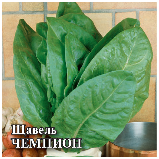 Щавель Чемпион 50,0 г