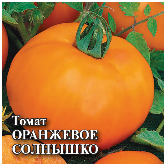 Томат Оранжевое солнышко 5,0 г