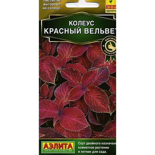 Колеус блюме Красный вельвет 10 шт. Аэлита