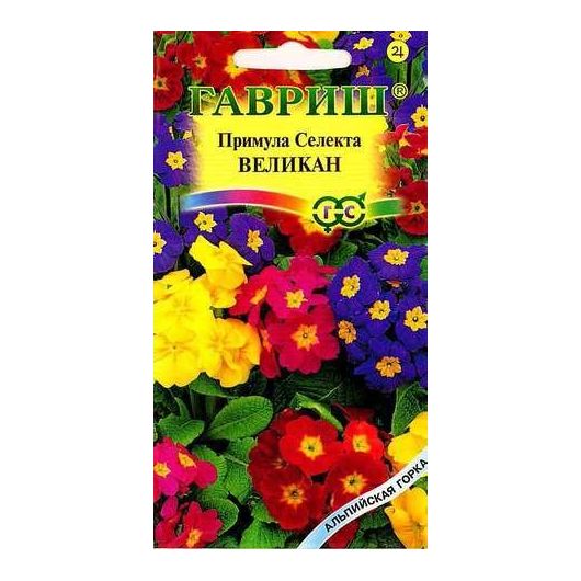 Примула Селекта Великан*, смесь 10 шт. серия Альпийская горка
