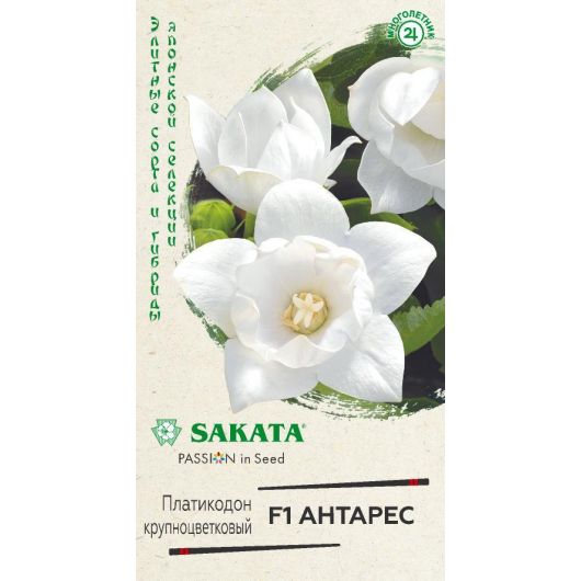 Платикодон (Ширококолокльчик крупноцветковый) Антарес F1, 4 шт. Саката серия Эксклюзив