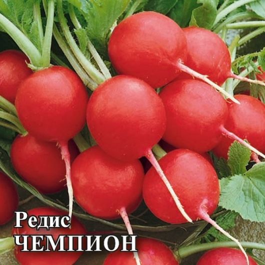 Редис Чемпион 50,0 г