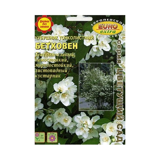 Чубушник тонколистный Бетховен  0,005 г Аэлита