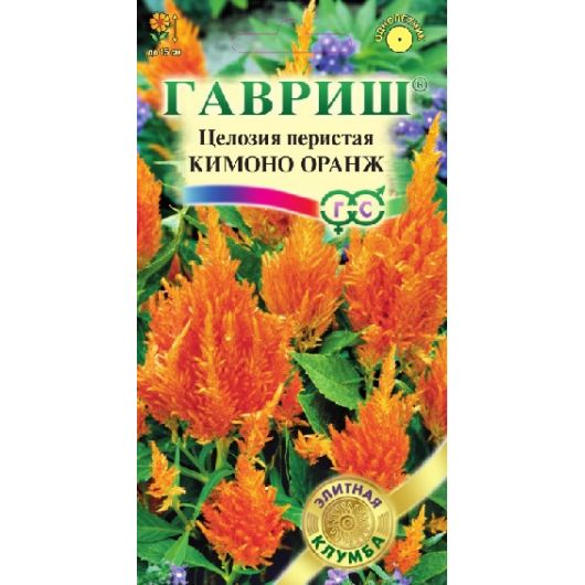 Целозия Кимоно Оранж перистая* 10 шт. Саката серия Элитная клумба