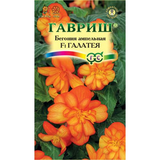 Бегония ампельная Галатея F1 клубневая гранул. 4 шт. пробирка