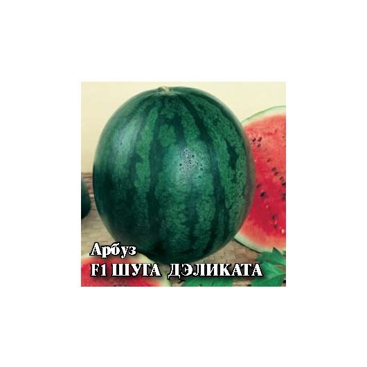 Арбуз Шуга Дэликата F1 50 шт. (Саката)