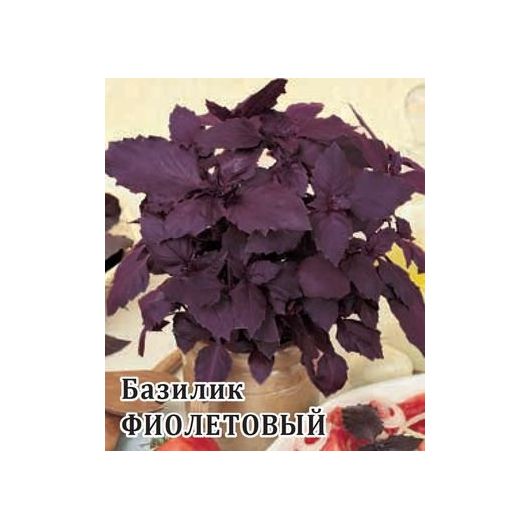 Базилик Фиолетовый 50,0 г