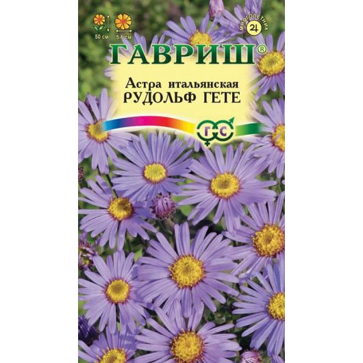Астра Рудольф Гете, итальянская (многолетн)* 0,05 г