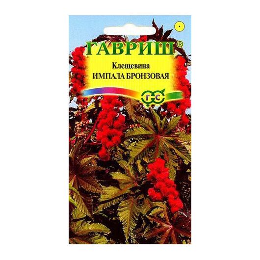 Клещевина Импала бронзовая 5 шт.