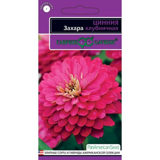 Цинния Захара клубничная 5 шт. серия Эксклюзив