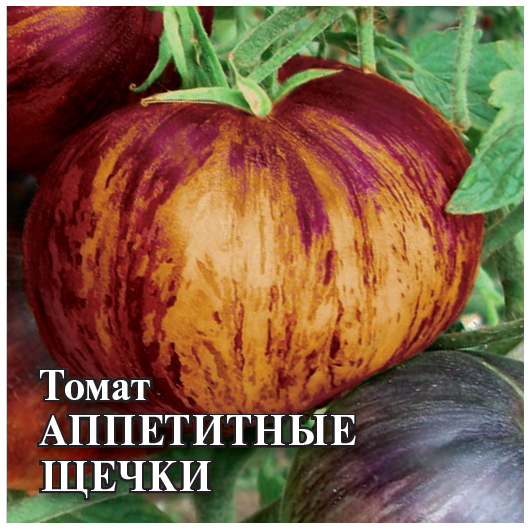 Томат Аппетитные щечки (фиолетово-желтый биколор)  5,0 г