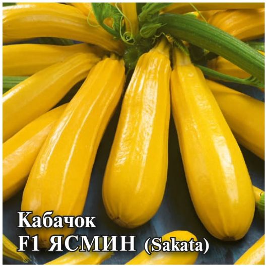 Кабачок Ясмин F1  100 шт. (Саката)
