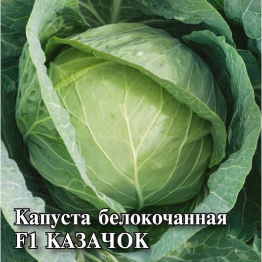 Капуста белокоч. Казачок F1 10,0 г ранняя