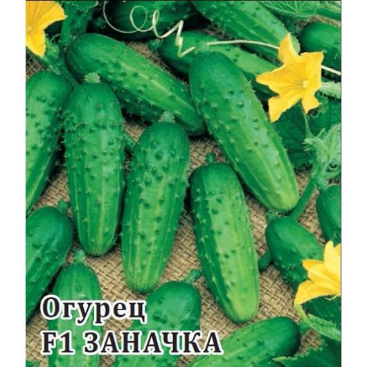 Огурец Заначка  F1 100 шт.