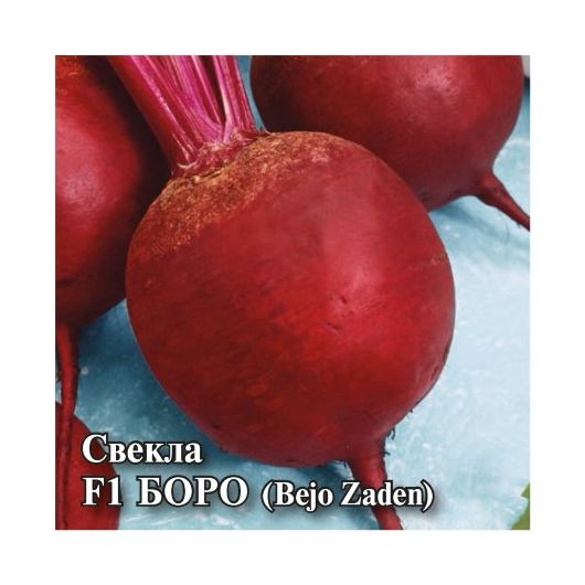 Свекла Боро F1  25,0 г (Голландия)