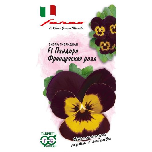 Виола Пандора французская роза F1 5 шт. серия Фарао