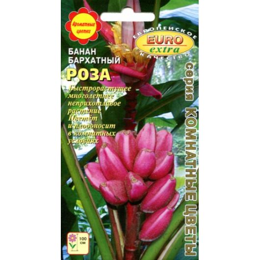 Банан комнатный Роза бархатный 3 шт. Аэлита