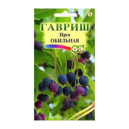 Ирга круглолистная Обильная 0,5 г