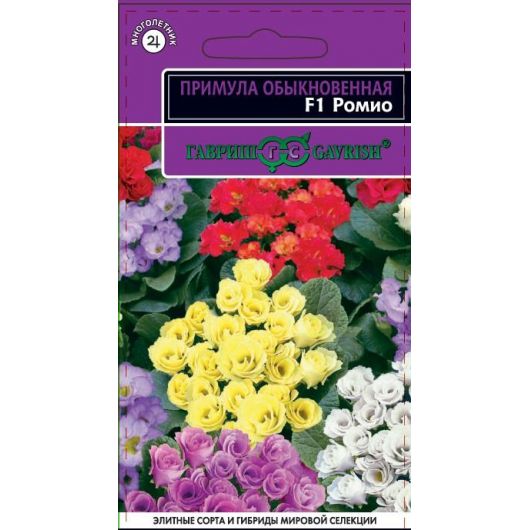 Примула Ромио F1 махровая* 3 шт. серия Эксклюзив