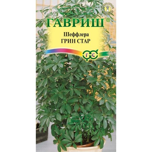 Шеффлера Грин Стар* 3 шт.