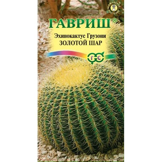 Эхинокактус Грузона Золотой шар 4 шт.