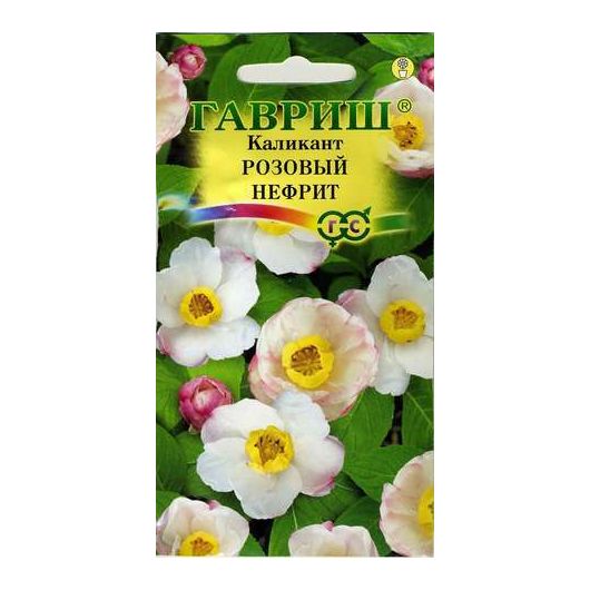 Каликант китайский Розовый нефрит 3 шт.