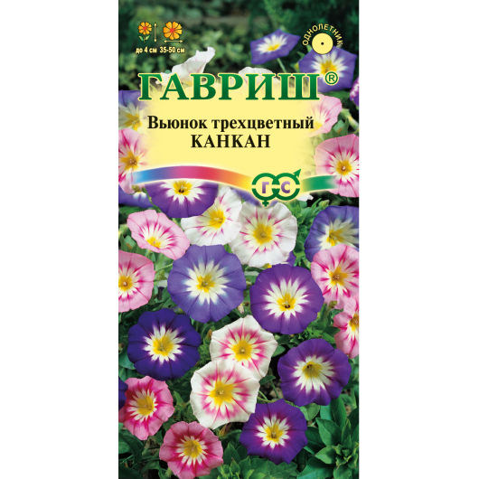 Вьюнок Трехцветный Канкан, смесь 0,5 г