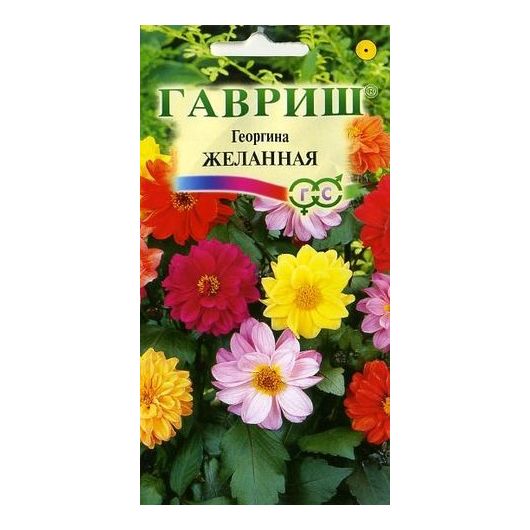 Георгина Желанная, смесь 0,3 г