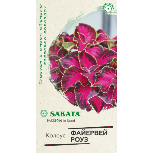 Колеус Файервей Роуз 5 шт.* Саката