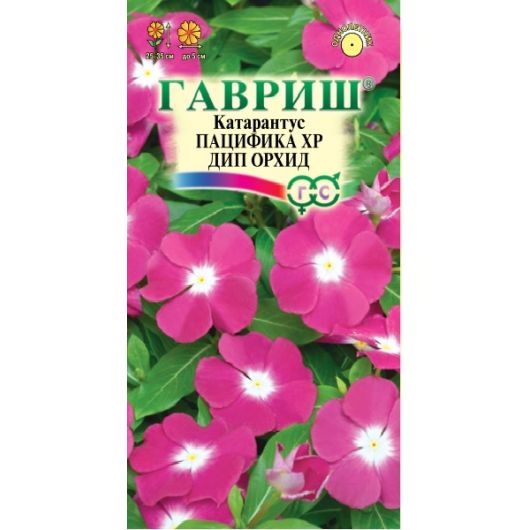 Катарантус Пацифика XP Дип Орхид* 5 шт. серия Элитная клумба