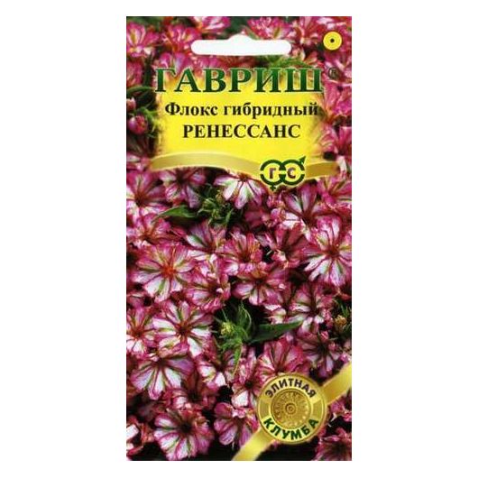 Флокс Ренессанс гибридный* 8 шт. серия Элитная клумба