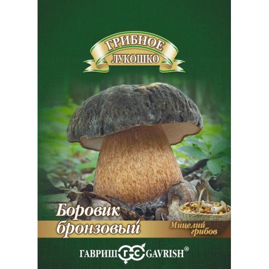 Боровик Бронзовый гриб на зерновом субстрате, больш. пак. 15 мл