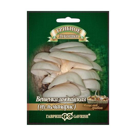 Вешенка индийская Пульмонарис на древесн. палочке, больш. пак. 12 шт